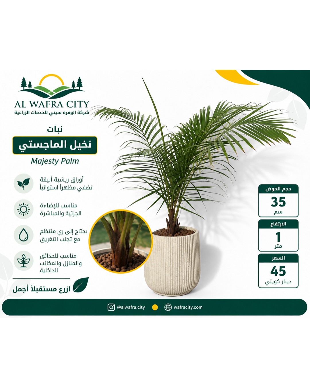 نخيل الماجستي
