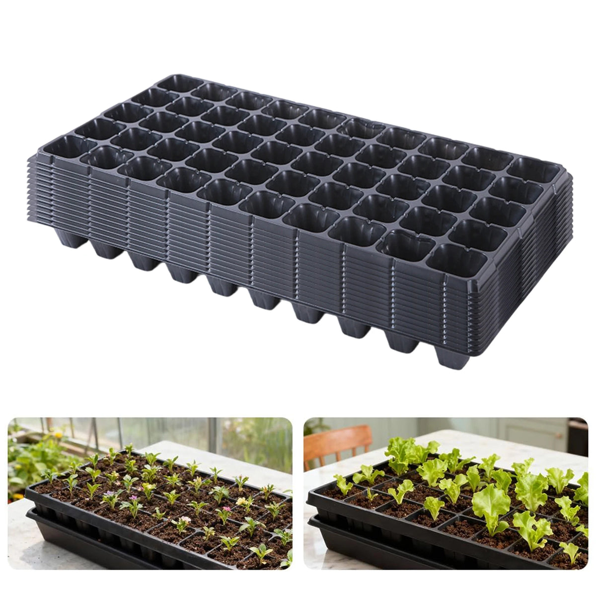 Nursery Seedling Trays — 72 Cell