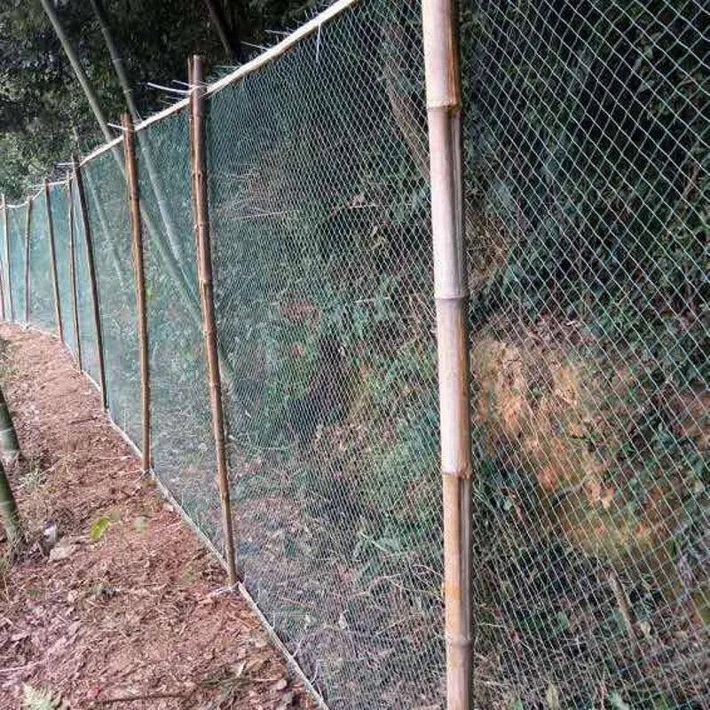 الشبكة مركّبة كسياج حول قطعة مزروعة على أعمدة خيزران | The net installed as a fence on bamboo posts around a cultivated plot