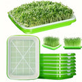 Hydroponic Seed Germination Trays