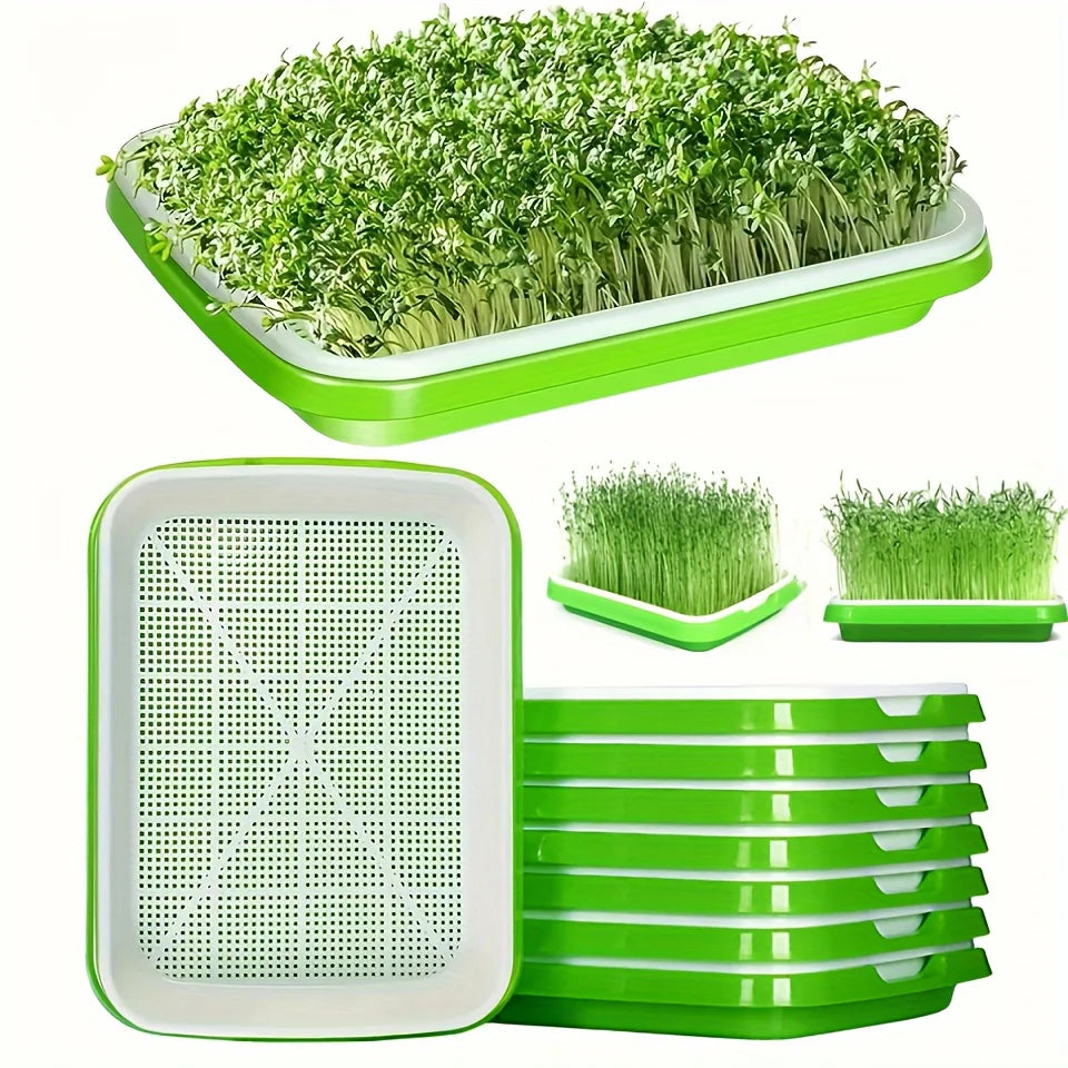 Hydroponic Seed Germination Trays