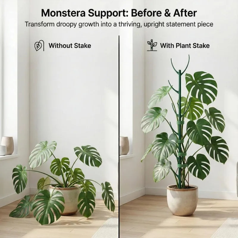 Monstera and Climbing Plant Support Frames — 6 Pack