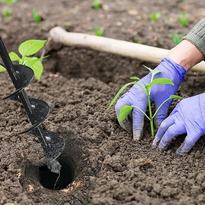 زراعة شتلة داخل جورة محفورة بالمثقاب الحلزوني | Planting a seedling in a hole bored with the auger