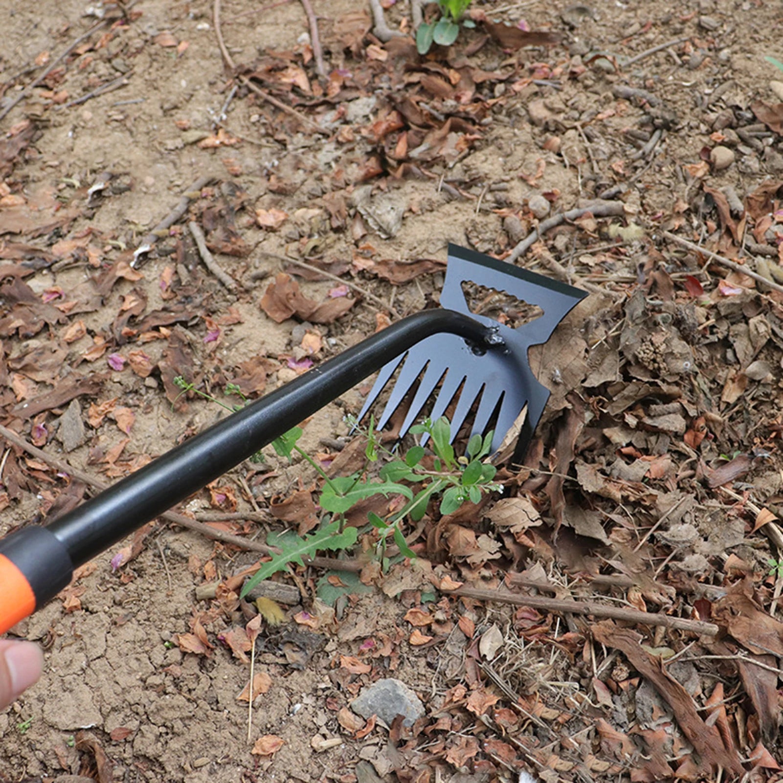 أداة إزالة الأعشاب ذات المشط موضوعة على تربة الحديقة | The tined weeding tool resting on garden soil