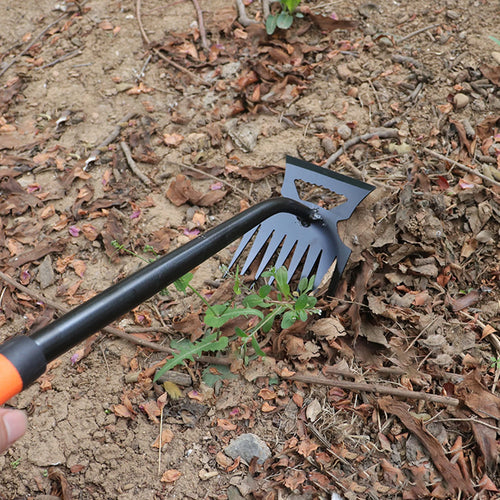 أداة إزالة الأعشاب ذات المشط موضوعة على تربة الحديقة | The tined weeding tool resting on garden soil