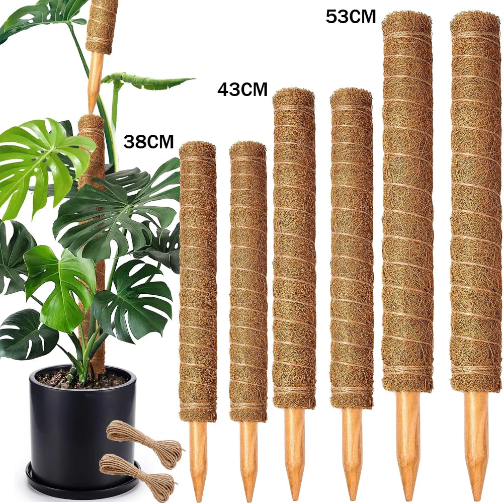 مقارنة مقاسات أعمدة التسلّق 38 و 43 و 53 سم — المقاس المعتمد هنا هو 38 سم | Size comparison of the 38, 43 and 53 cm coir poles — the approved size here is 38 cm
