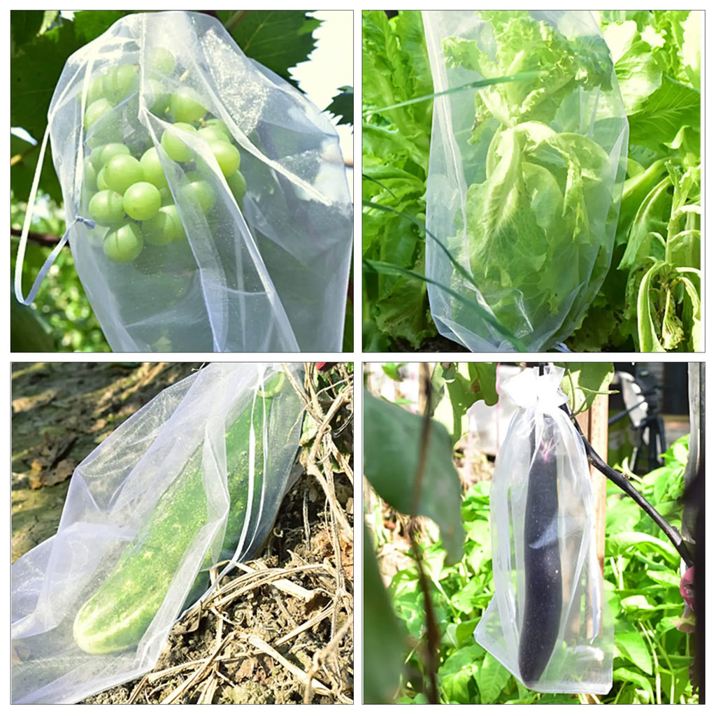 أكياس شبكية بيضاء لحماية الثمار على عناقيد العنب والخس والخيار والباذنجان | White fruit protection mesh bags over grapes, lettuce, cucumber and aubergine
