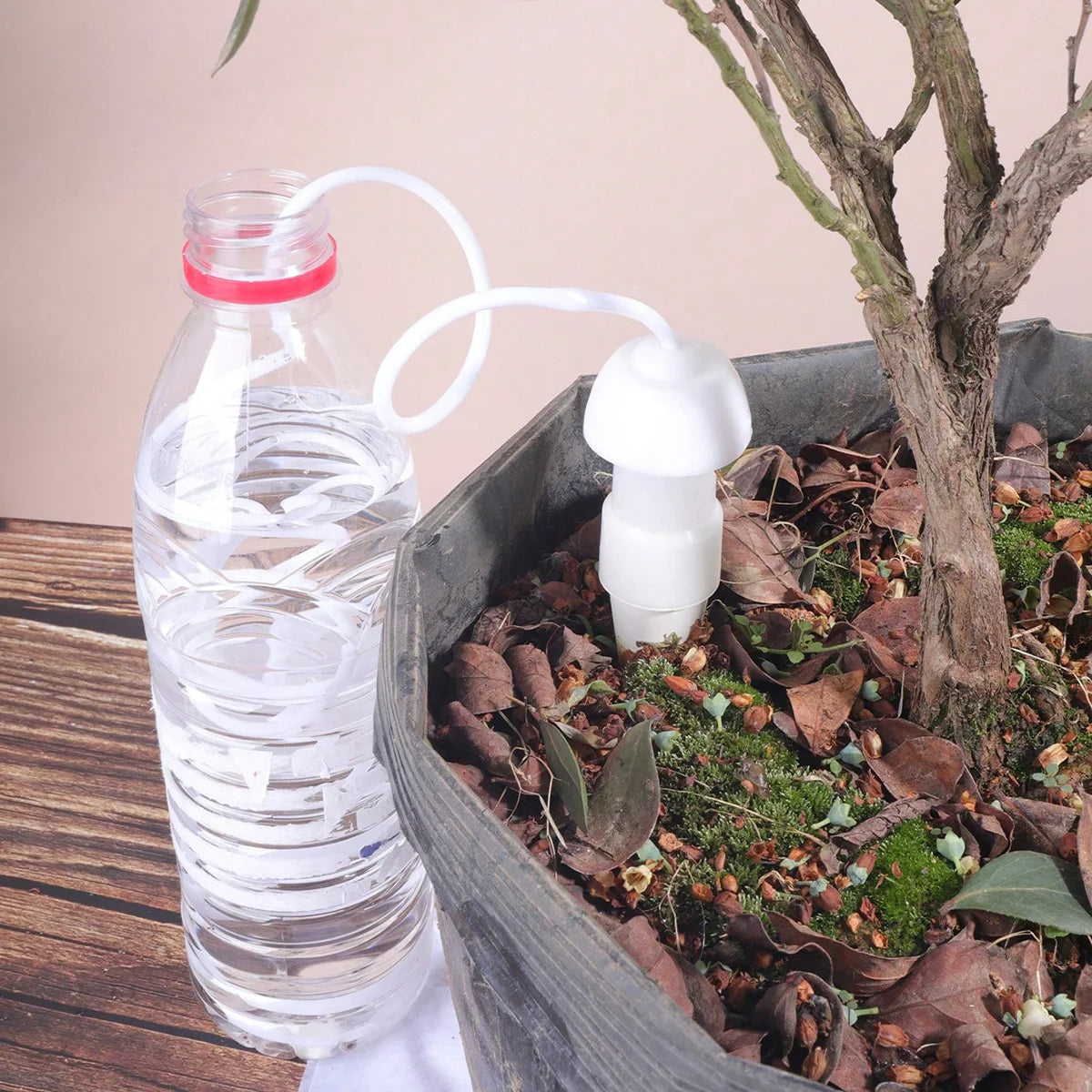 Ceramic Drip Watering Spikes — 2 Pack