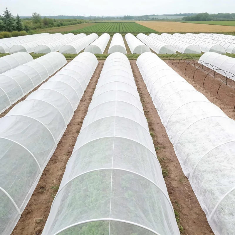 Non-Woven Frost Protection Fleece — 1.6 × 10 m