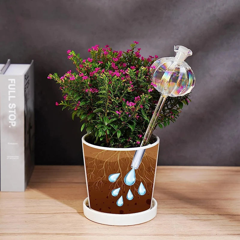 كرة الريّ الزجاجية مغروزة في أصيص نبات داخلي مزهر | The glass watering bulb inserted into an indoor flowering plant pot