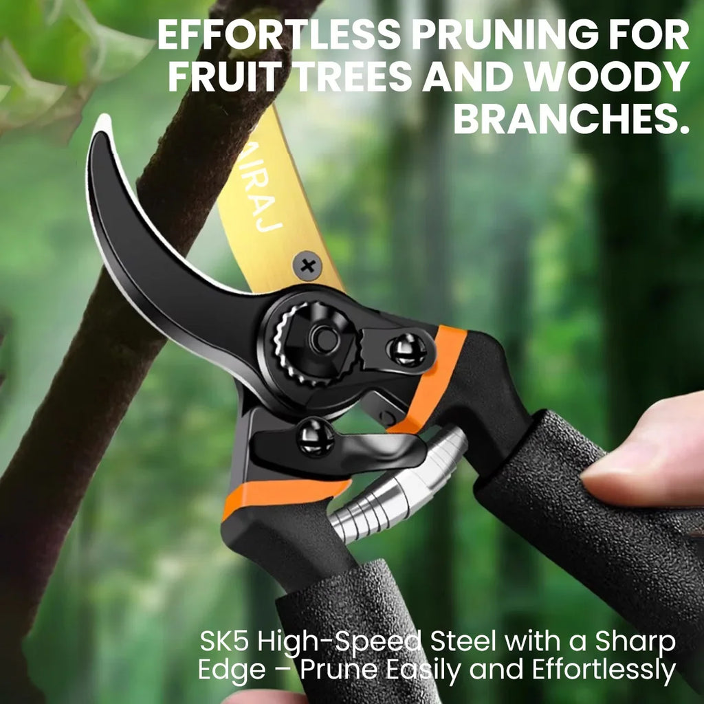 استخدام مقص التقليم لقص غصن من شجرة فاكهة | Using the shears to cut a branch on a fruit tree