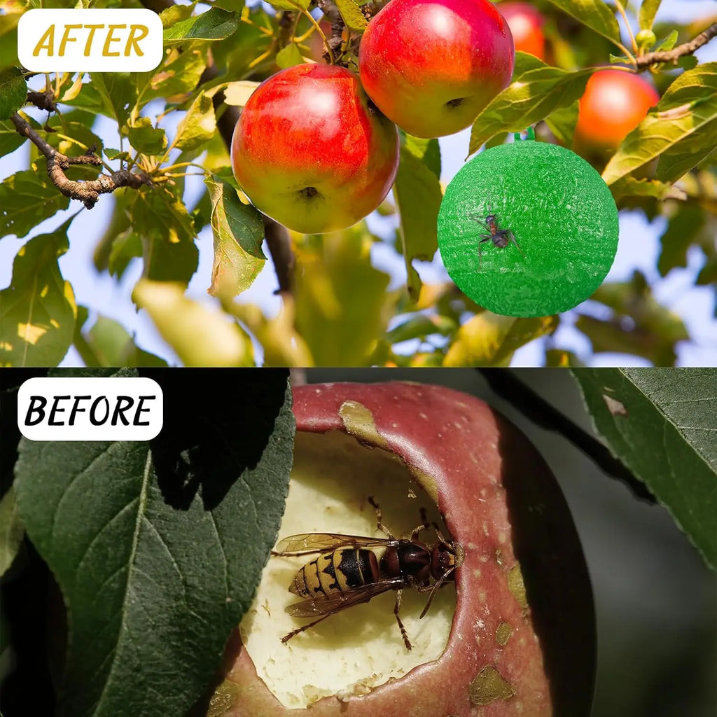 الكرة اللاصقة الخضراء معلّقة بين أفرع شجرة مثمرة | The green sticky ball hung among the branches of a fruit tree