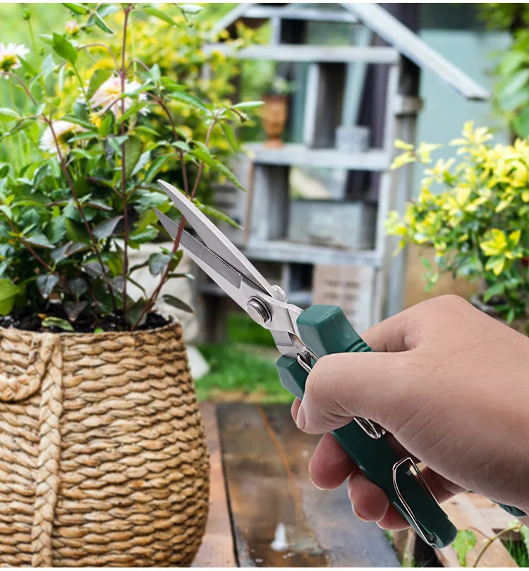 استخدام المقص الأخضر لتقليم نبتة في أصيص | Using the green snips to trim a potted plant