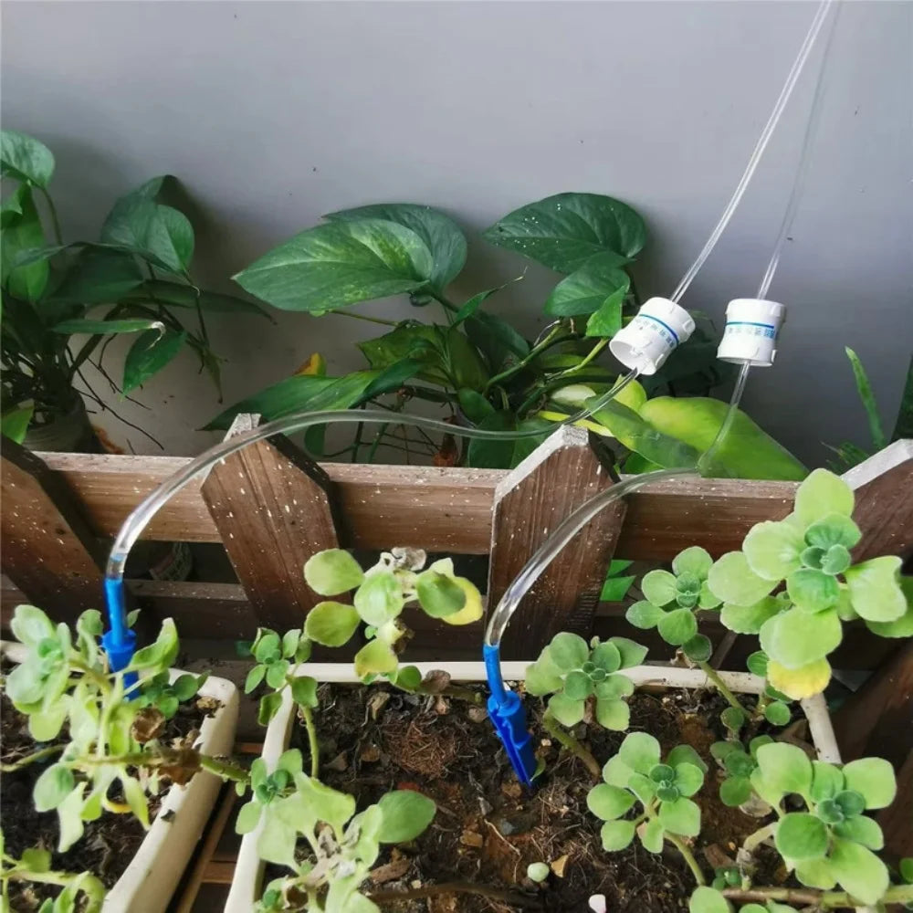 أوتاد أنابيب التنقيط مغروزة في تربة الأصص | The drip tube spikes pushed into the soil of the pots