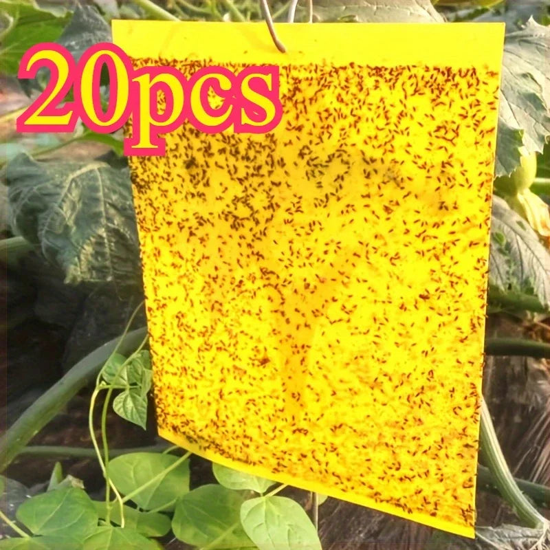 Double-Sided Yellow Sticky Insect Traps — 20 Pack
