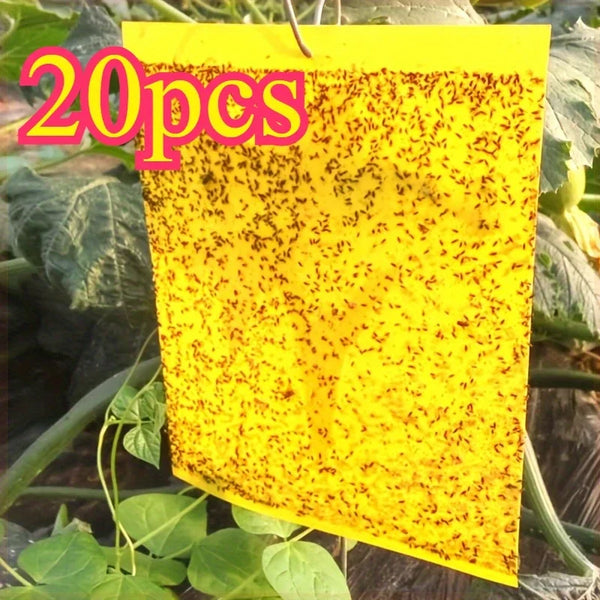 Double-Sided Yellow Sticky Insect Traps — 20 Pack
