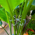 Anti-Tip Foldable Plant Support Poles — 4 Pack