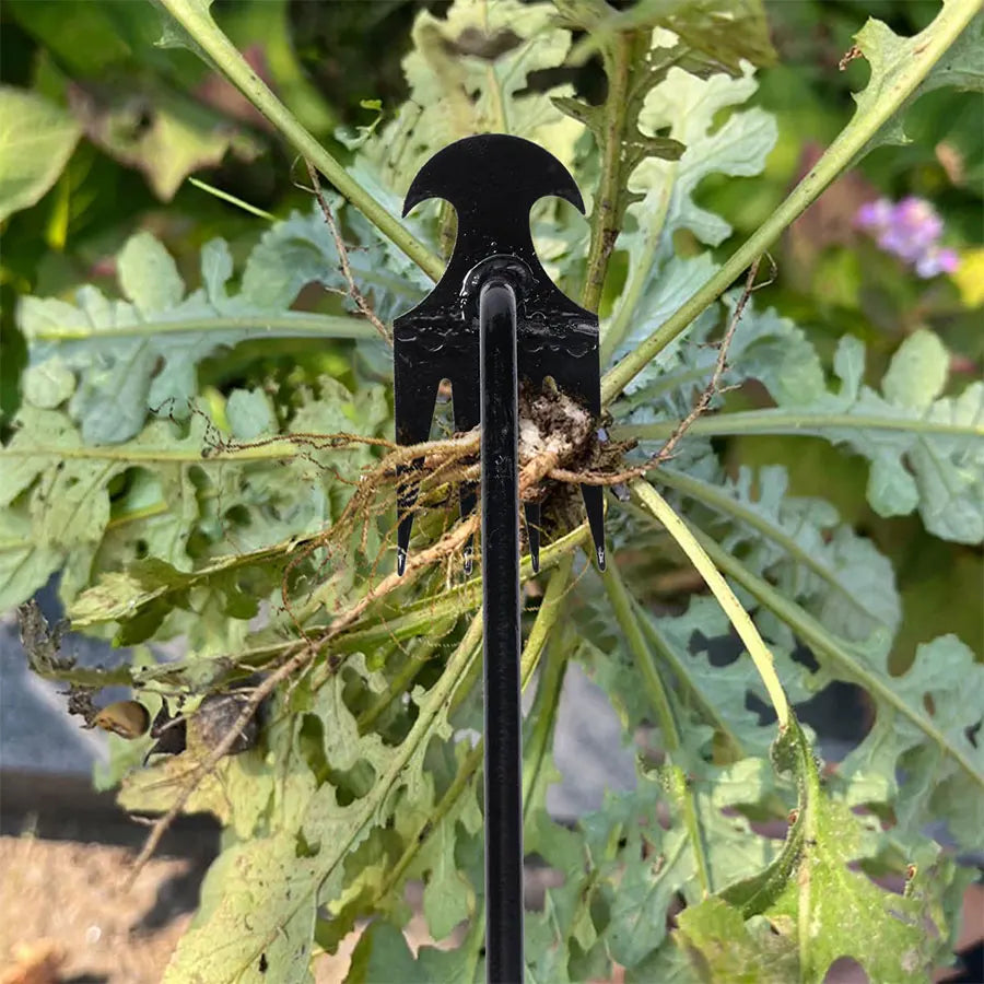 رأس المعزقة المعدني أثناء نزع عشبة من جذرها | The metal hoe head lifting a weed out by its root