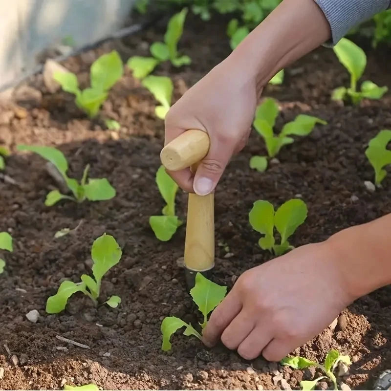 حفر جورة لزراعة شتلة بواسطة الأداة المخروطية | Making a planting hole for a seedling with the conical tool