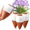 Terracotta Slow-Release Self-Watering Ball