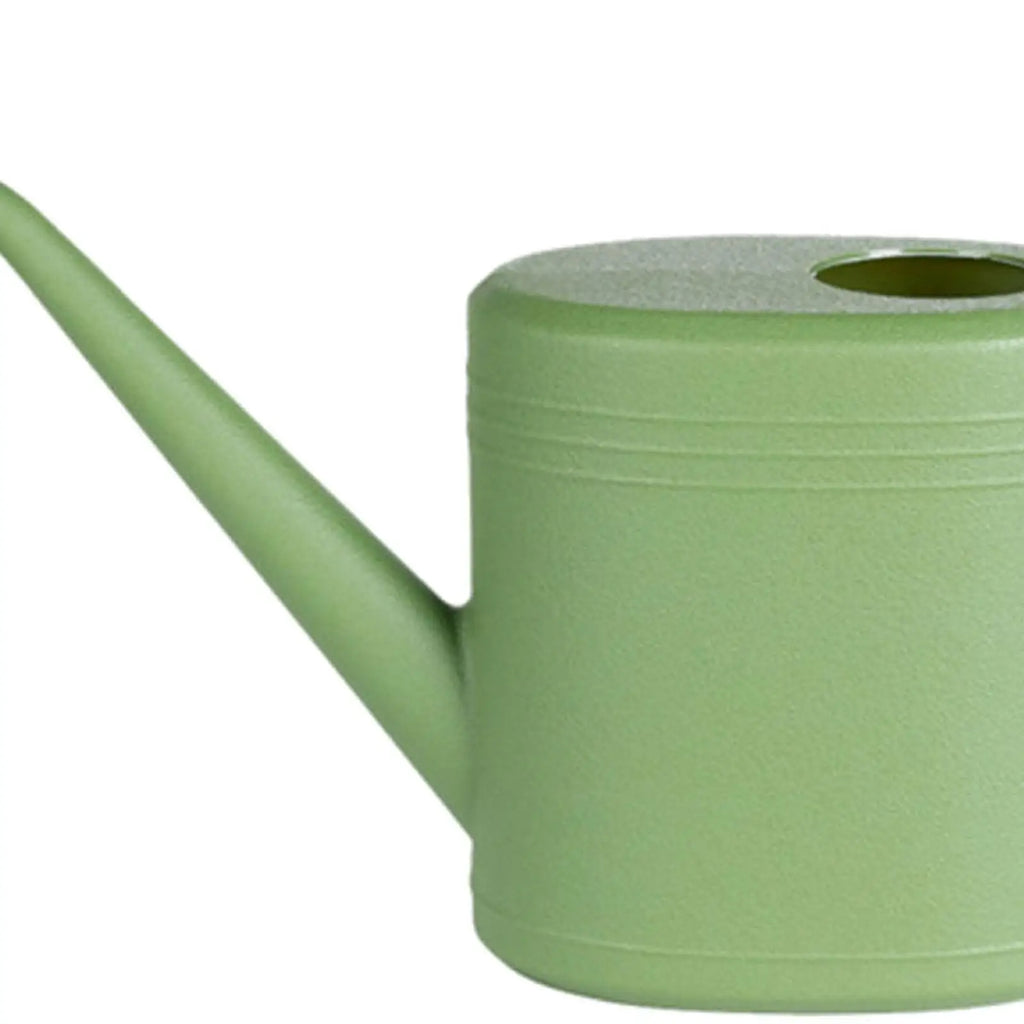 مقرّبة لمرشّة الري الخضراء توضّح الفوهة الطويلة وفتحة التعبئة | Close-up of the green watering can showing the long spout and fill opening