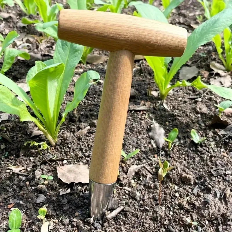 الأداة المخروطية مغروزة في التربة بين الشتلات | The conical tool pushed into the soil between seedlings