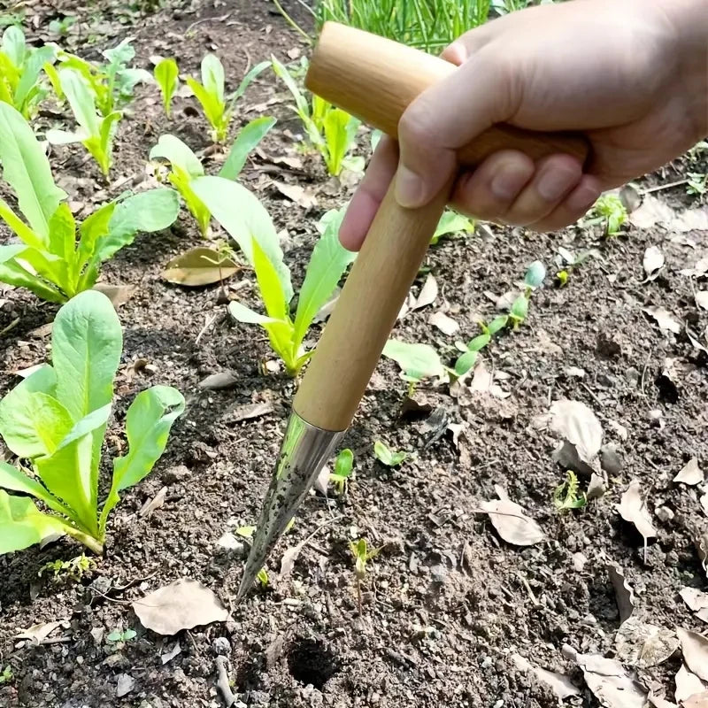 استخدام أداة حفر الجور في تربة حوض خضار | Using the dibbler in the soil of a vegetable bed