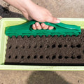 أداة بذر خضراء بـ 12 سنّاً تفتح صفوفاً من الجور المتساوية في طبق إنبات | Green 12-tooth seeding tool pressing rows of evenly spaced holes into a seed tray