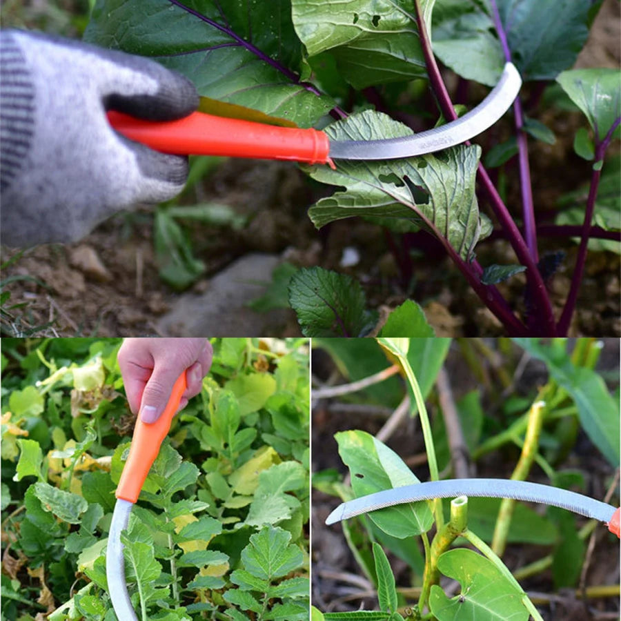 استخدام المنجل لقطع ساق نبات في الحقل | Using the sickle to cut a plant stem in the field