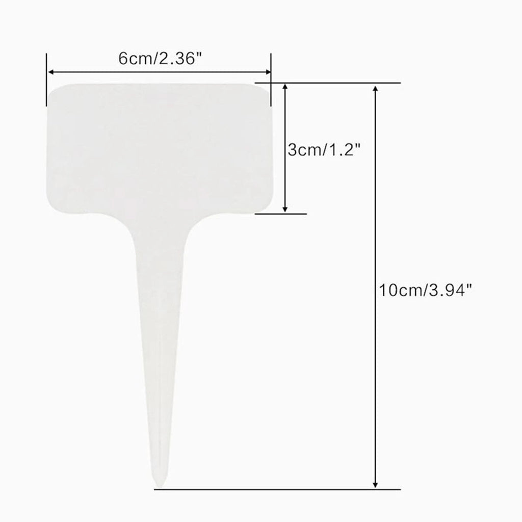 أبعاد بطاقة التعريف: 6 سم عرض و 10 سم ارتفاع | Label dimensions: 6 cm wide and 10 cm tall