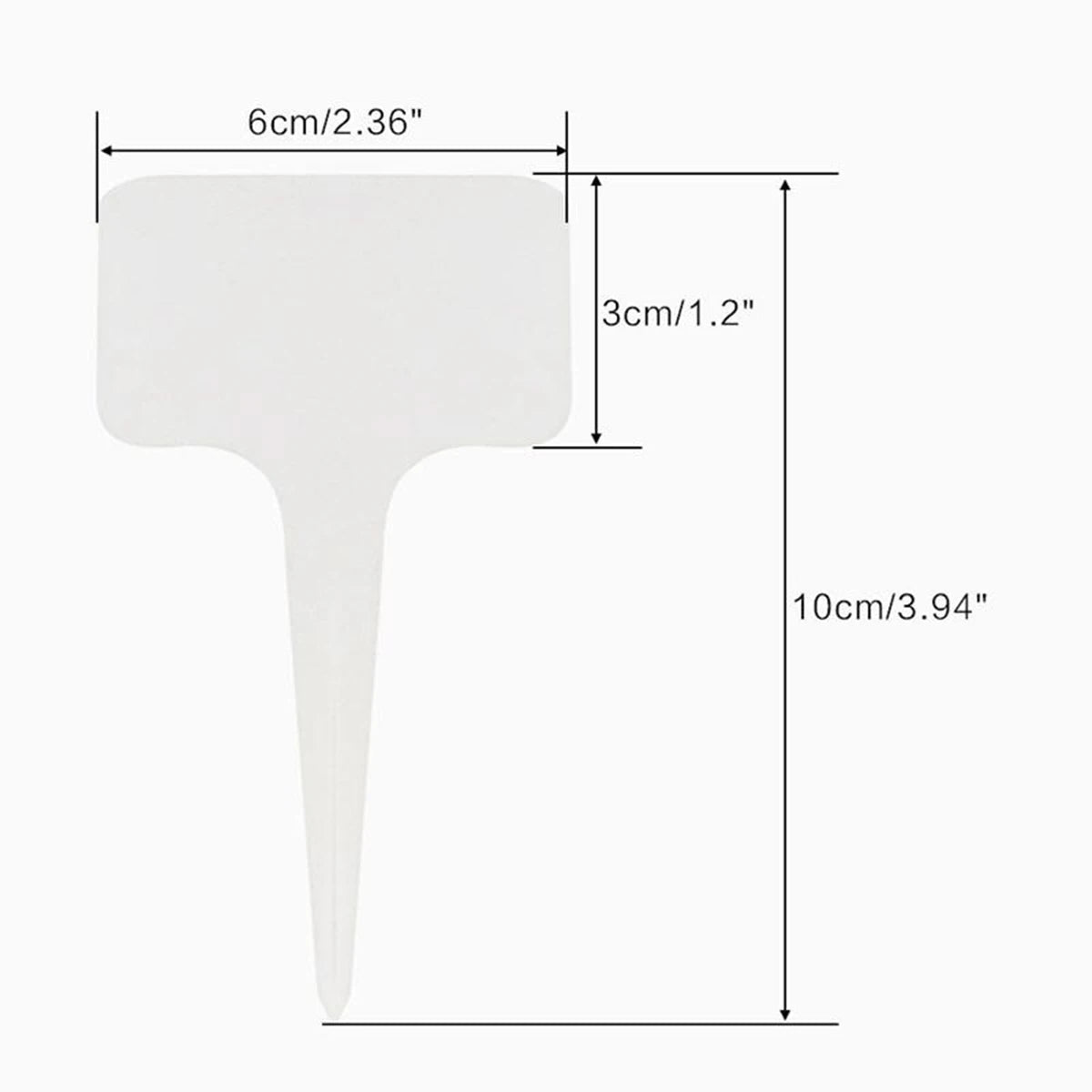 أبعاد بطاقة التعريف: 6 سم عرض و 10 سم ارتفاع | Label dimensions: 6 cm wide and 10 cm tall