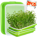 Double-Layer Microgreen Sprouting Tray