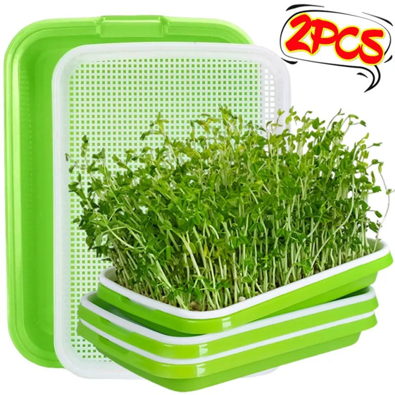Double-Layer Microgreen Sprouting Tray