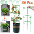 Half-Circle Plant Trellis Supports — 6 Pack