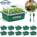 Mini Greenhouse Seed Trays with Humidity Dome