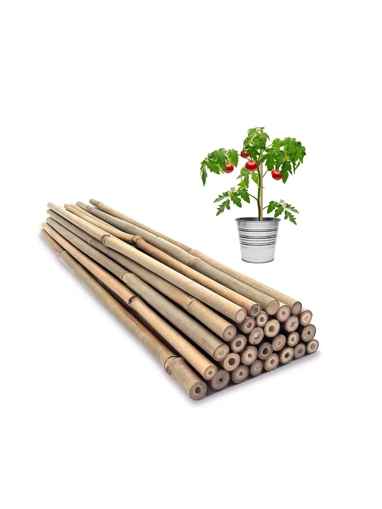 Natural Bamboo Plant Stakes — 4 Pack