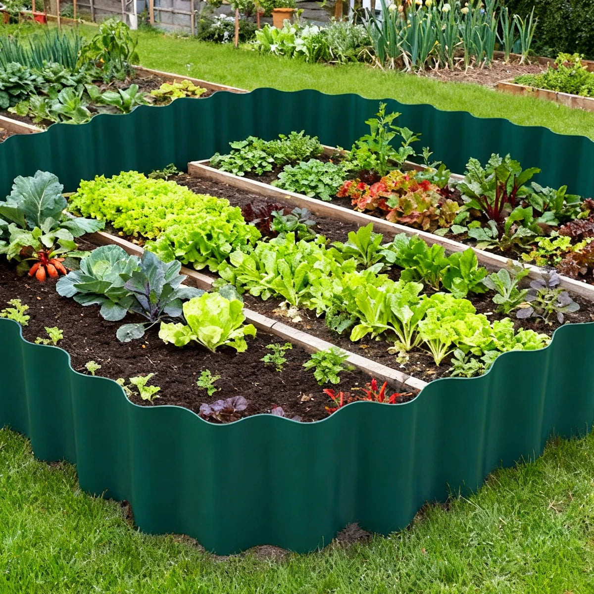 السياج المرن يفصل أحواض الزراعة عن الممر | The flexible edging separating planting beds from the path