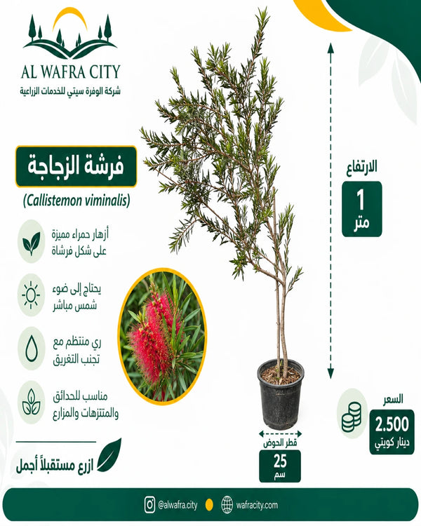 بوتل برش