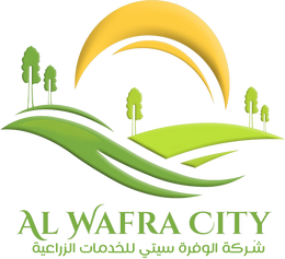 WAFRA CITY
