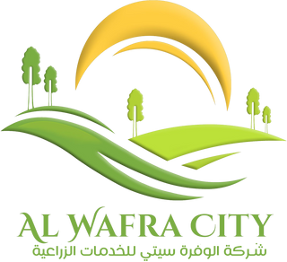WAFRA CITY